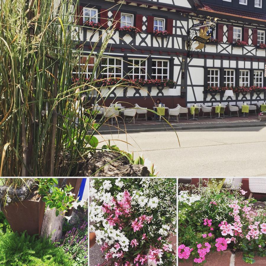 Hotel Restaurant Der Engel, Sasbachwalden Exterior photo